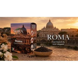 GRANULI PROFUMATI SPIRA CONFEZIONE DA 6 BUSTE - 35g - ROMA