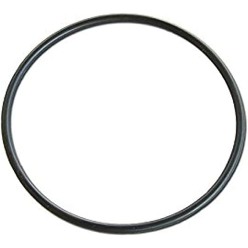 GUARNIZIONE PENTOLA PRESSIONE AETERNUM 9 LT 21CM